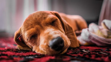 Sleeping On The Floor - How To Do It Properly To Relieve Back Pain